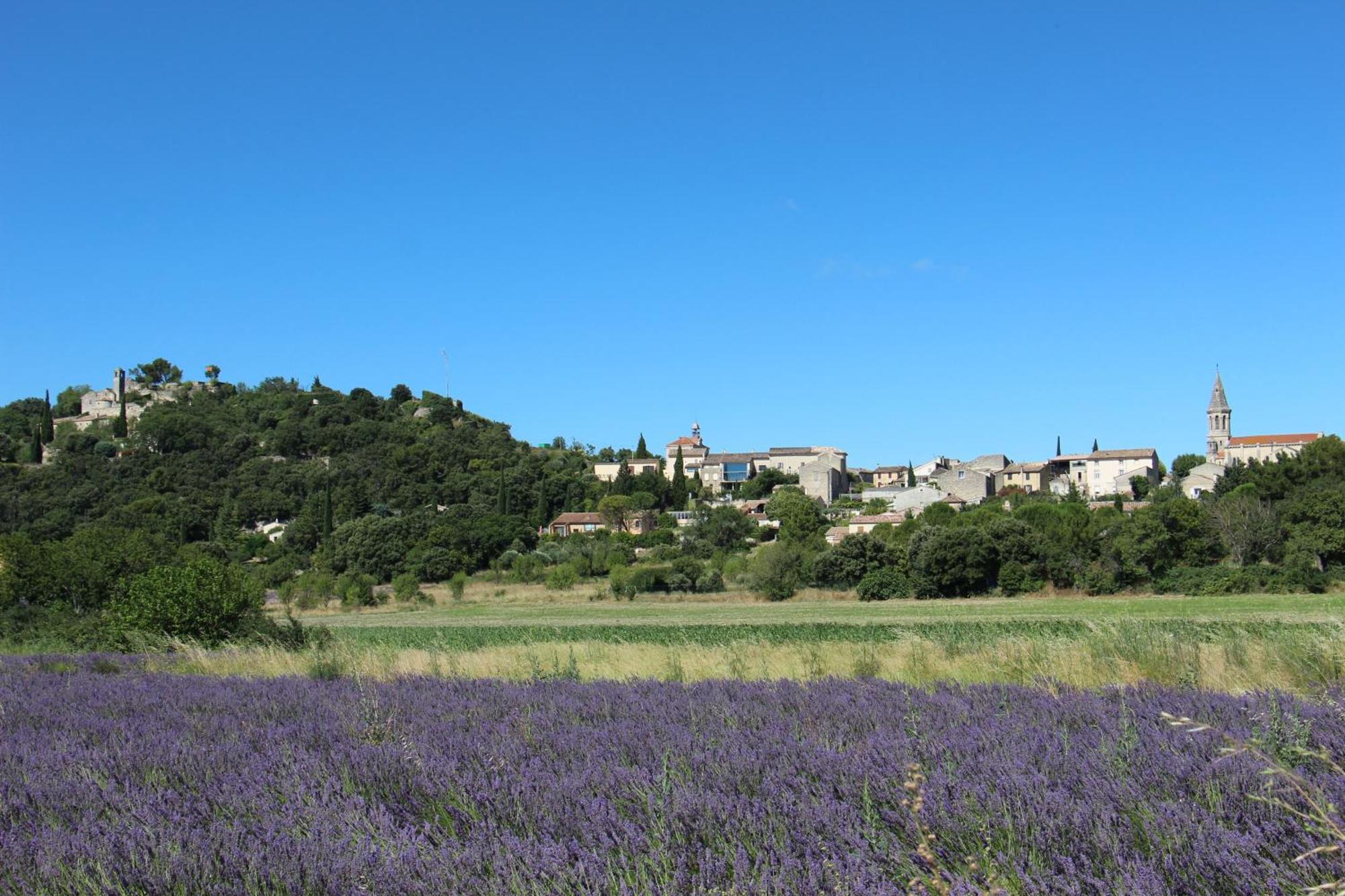 Le Bastidon, Des Lucioles En Provence *
